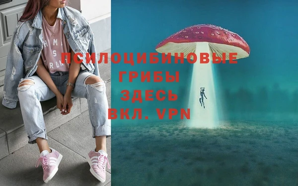 PSILOCYBIN Абдулино