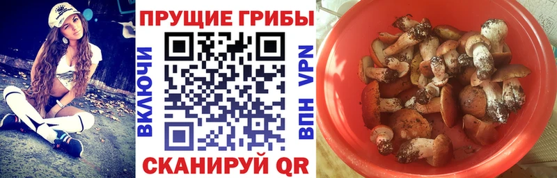 Галлюциногенные грибы прущие грибы  Алатырь 