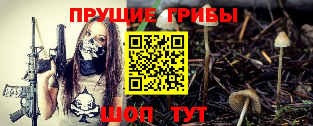 Галлюциногенные грибы Cubensis Алатырь