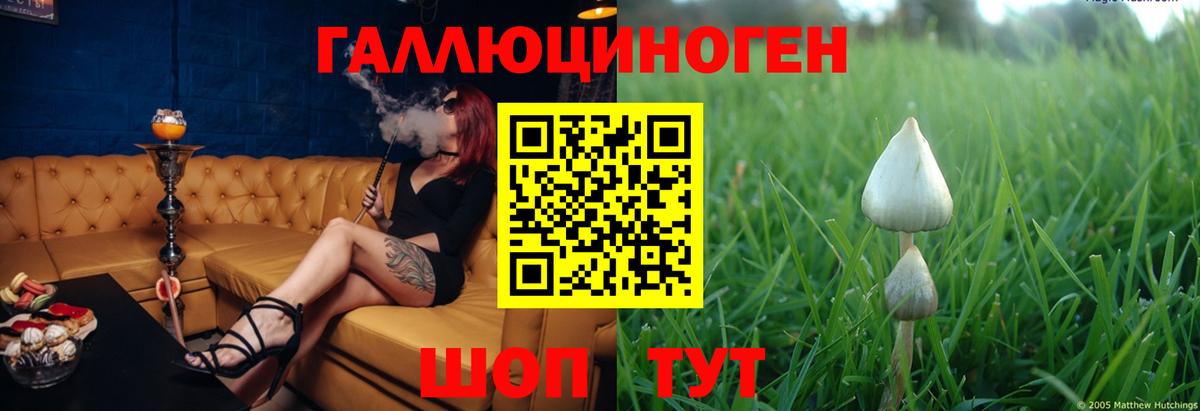 Галлюциногенные грибы MAGIC MUSHROOMS  Вход с VPN  Галлюциногенные грибы мухоморы  Алатырь 